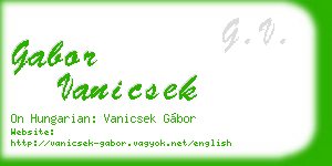 gabor vanicsek business card